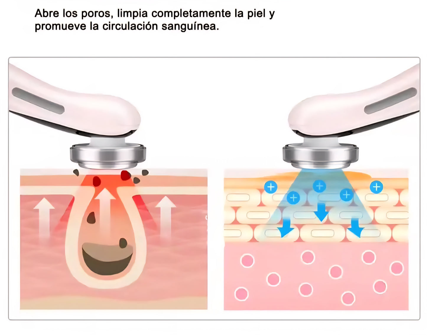 Masajeador Facial Led Terapia